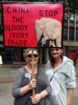 Manchester Global March for Elephants and Rhinos